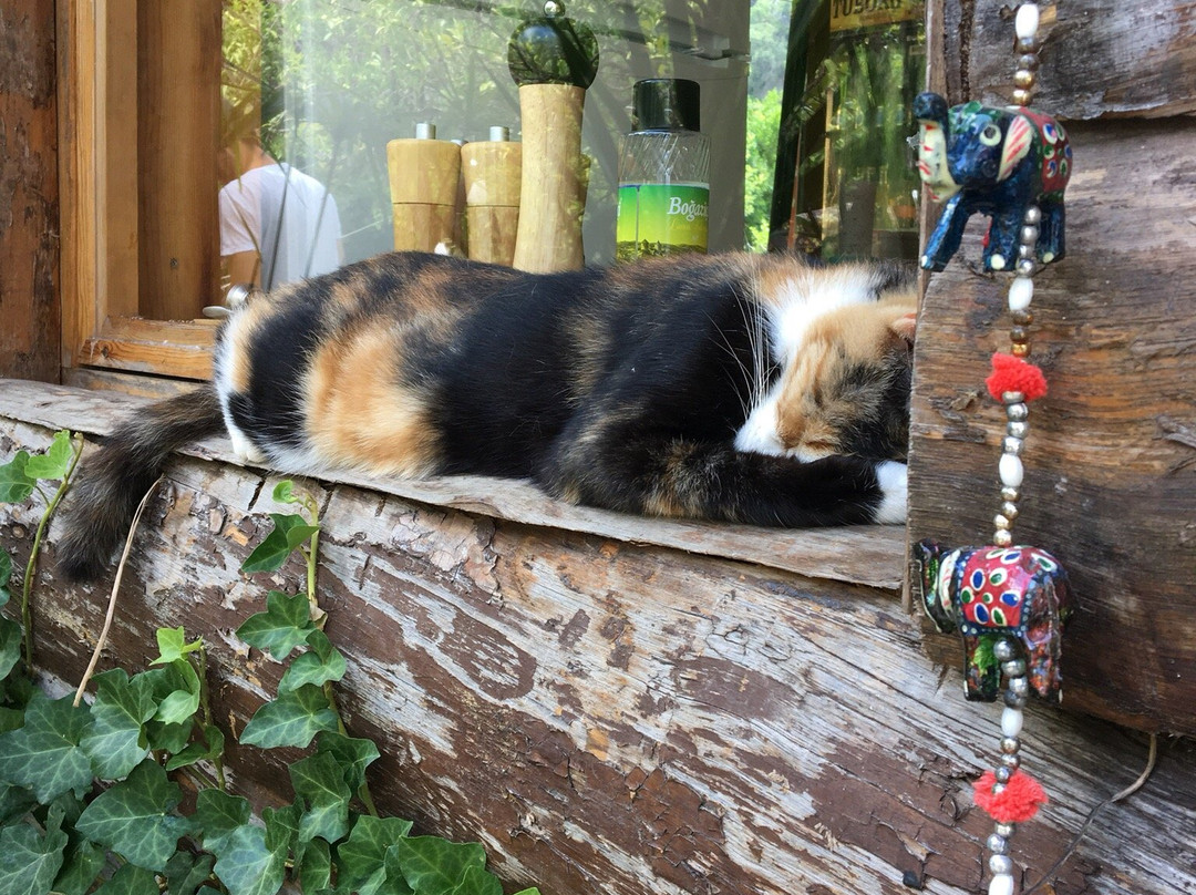 Ulupinar酒店住宿-Relax Point Butik Pansiyon