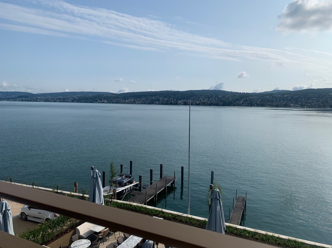 Alex Lake Zürich主图