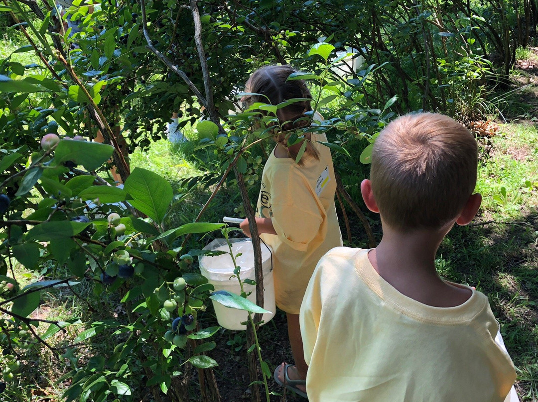 Blueberry Ranch-米沙沃卡必去景点