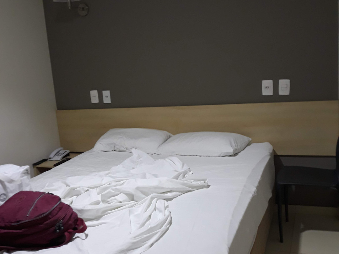 Amazonia Palace Hotel主图