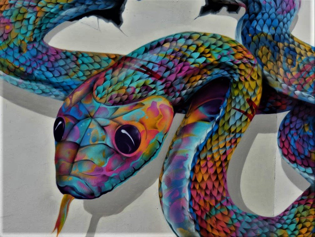 Fresque Le serpent景点图片