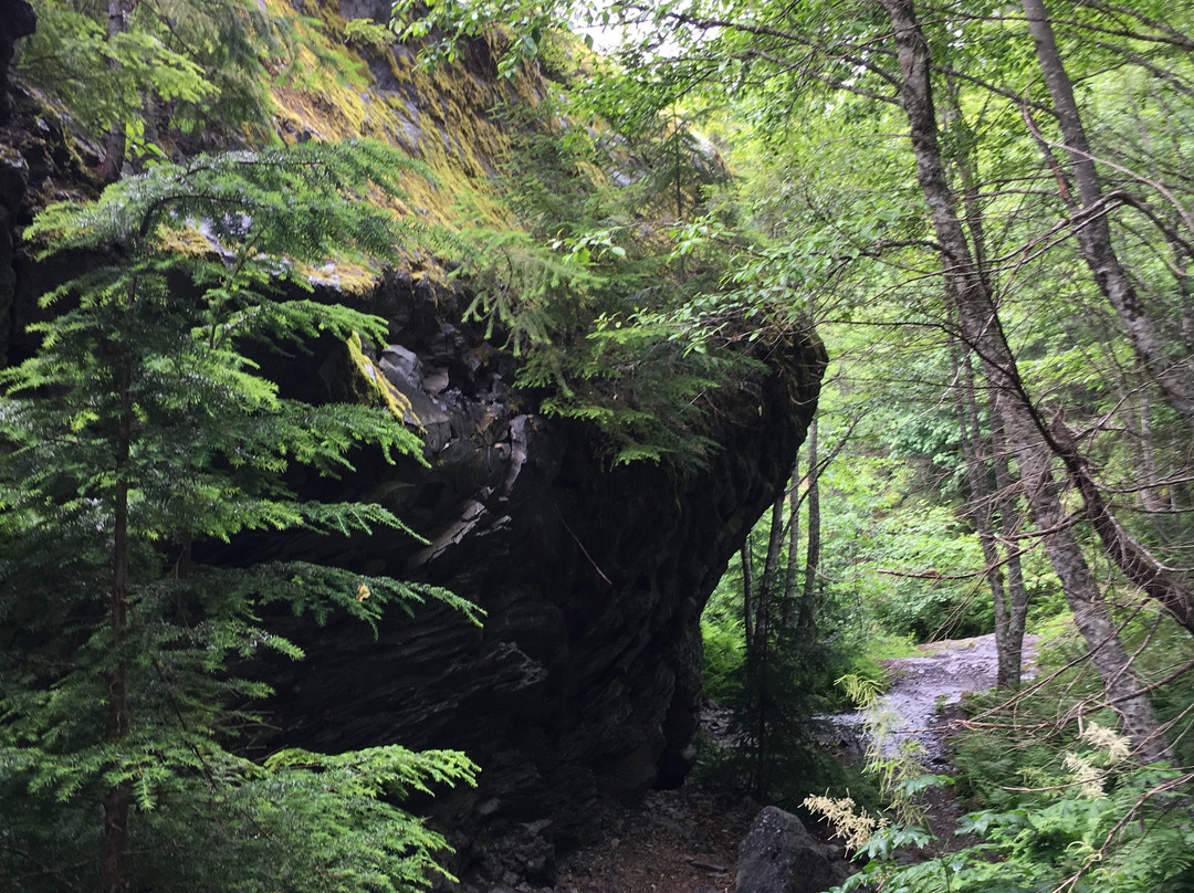 Lava Canyon景点图片