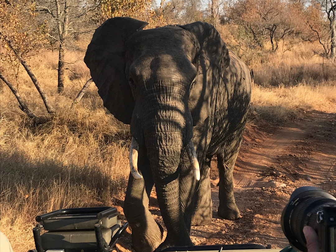 Toro River at Toro River Lodges-霍德斯普鲁特必去景点