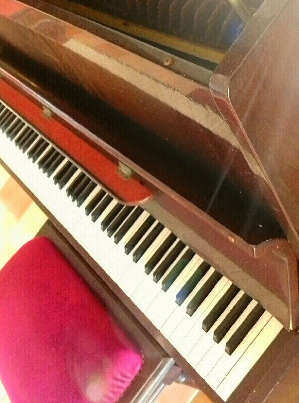 Le M Hotel Marie Galante主图