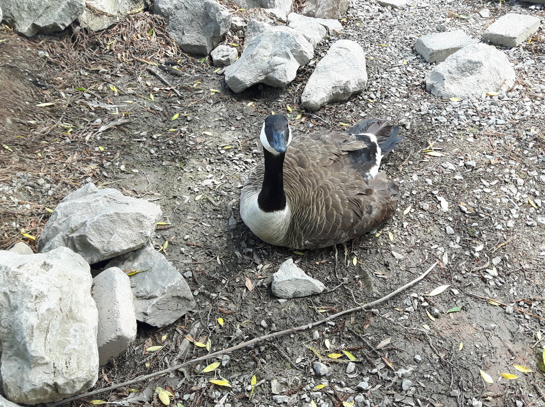 Forty Mile Creek Trails-格里姆斯比必去景点