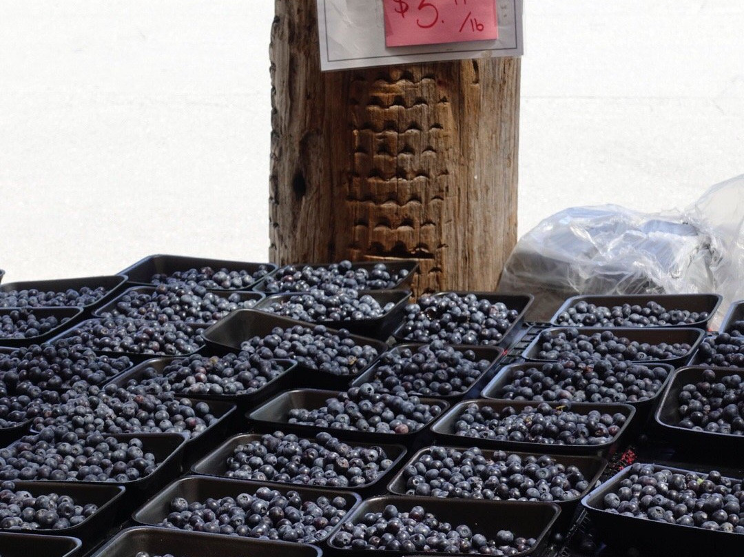 Qualicum Beach Farmer's Market景点图片