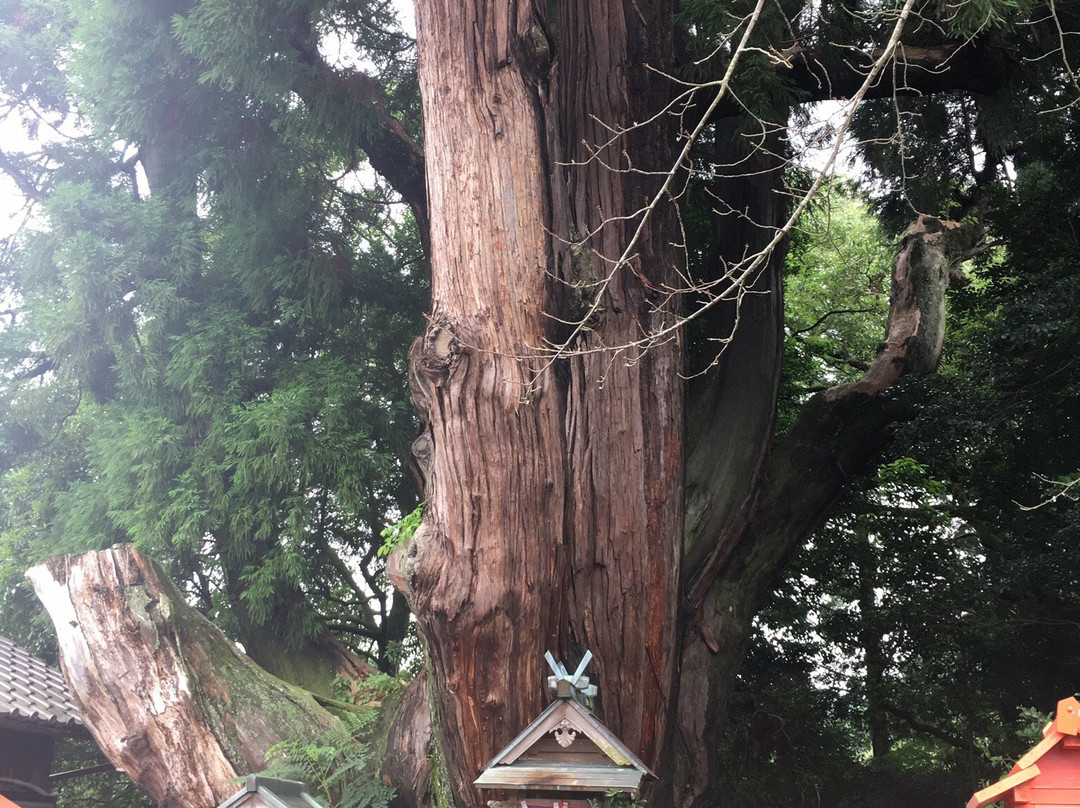 Yasaka Shrine-和束町必去景点