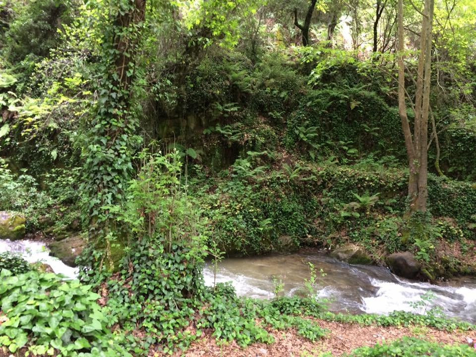 圣谷-Bcharre必去景点