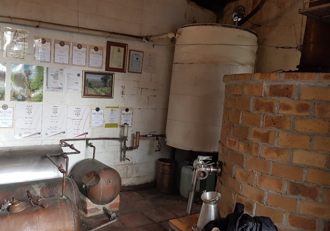 Upland Organic Wine-惠灵顿必去景点