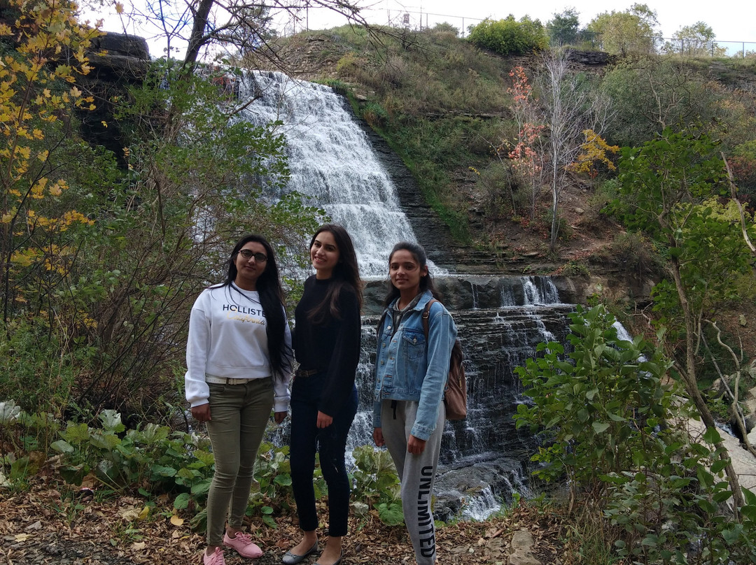 Albion Falls-汉密尔顿必去景点