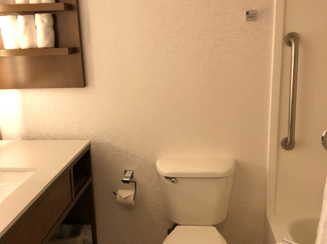 底特律市区希尔顿花园旅馆主图