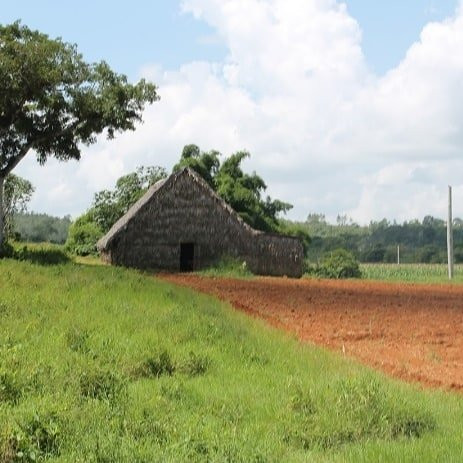 Viajando en el Tiempo-维纳勒斯必去景点