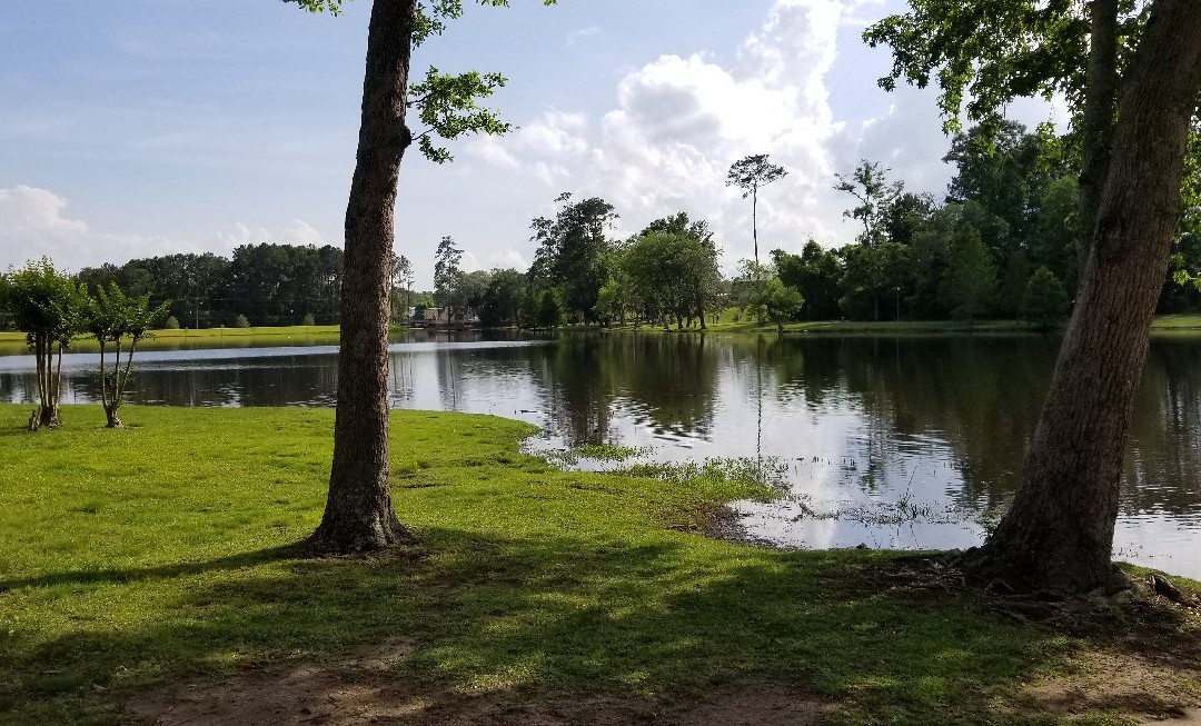 Cherokee Lake Park-Thomasville必去景点