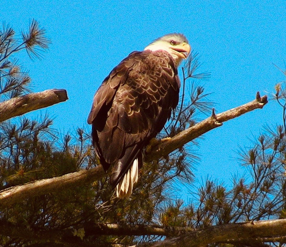 North Hartland Lake-North Hartland必去景点