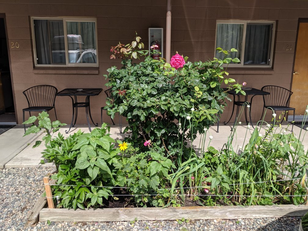 Big Iron Motel主图