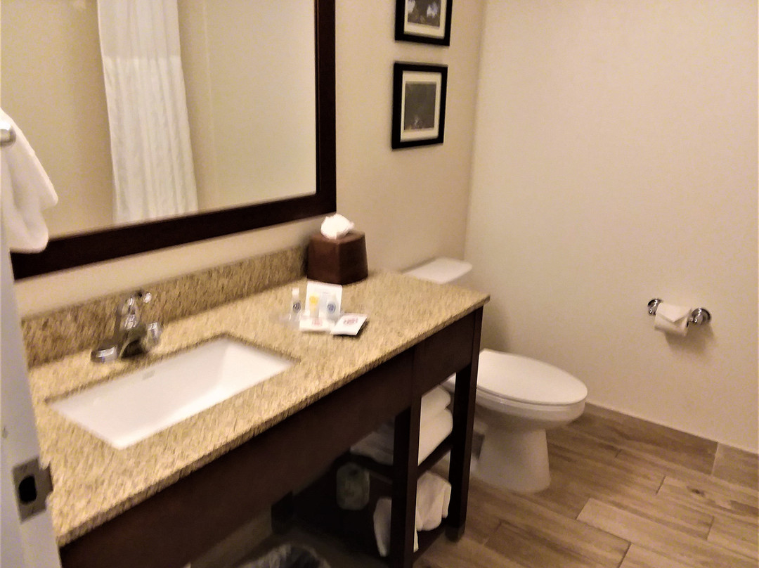 Comfort Suites Downtown主图