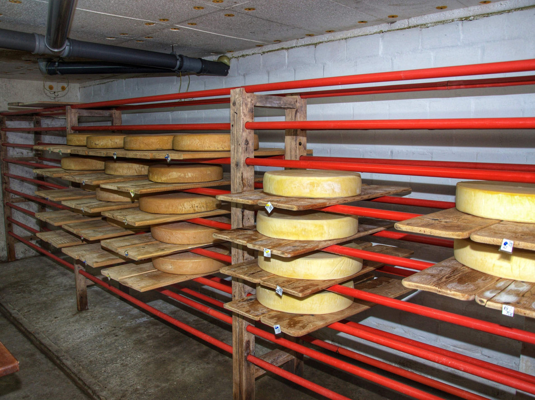 Selyshche Cheese Factory-Nyzhnje Selyshche必去景点
