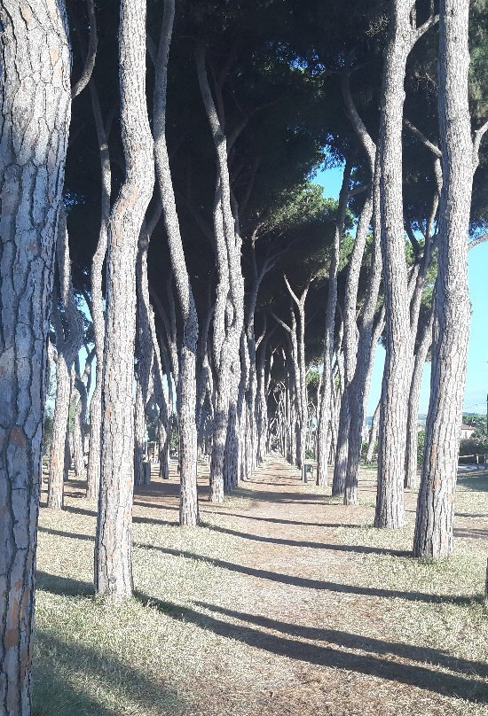 Pista Ciclabile-Pineto必去景点