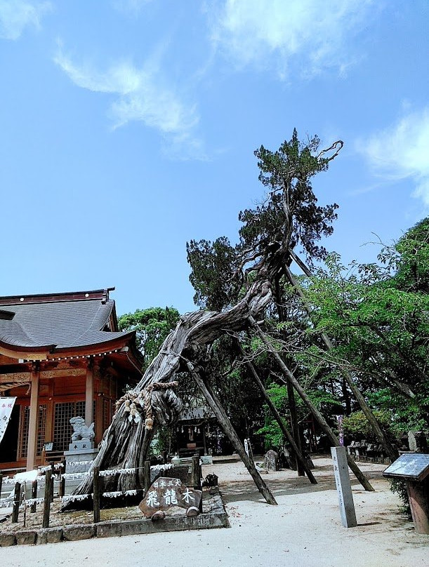 Nikita Shrine景点图片