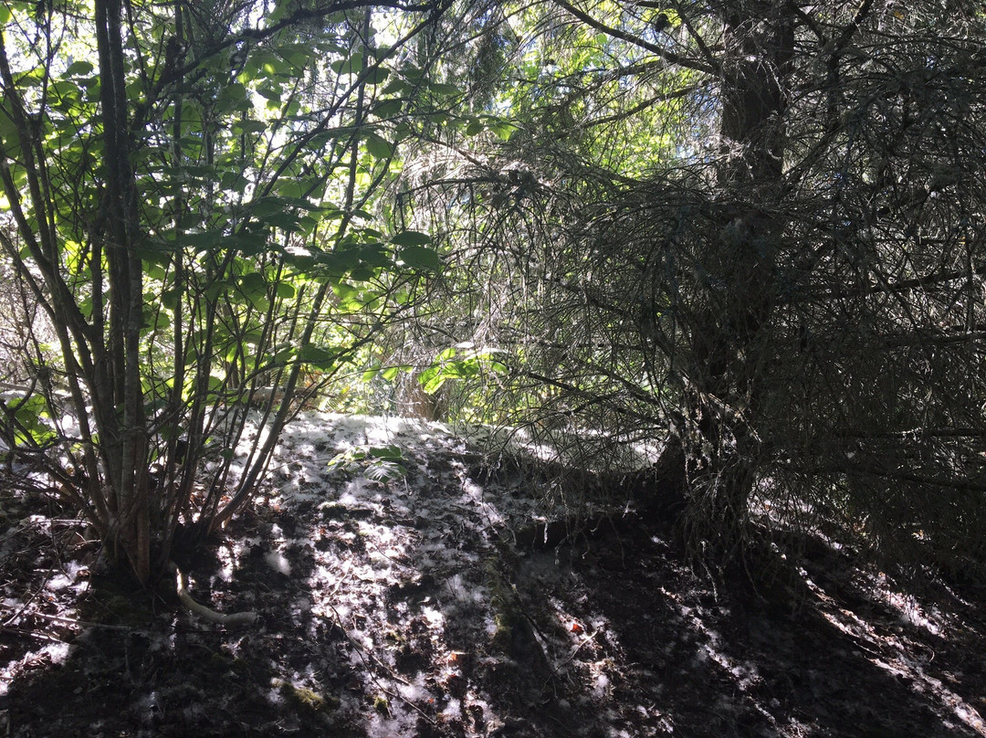 Narbeck Wetland Sanctuary Park景点图片