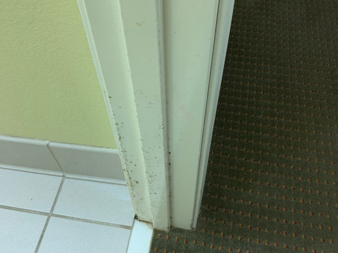 Country Hearth Inn Knightdale Raleigh主图