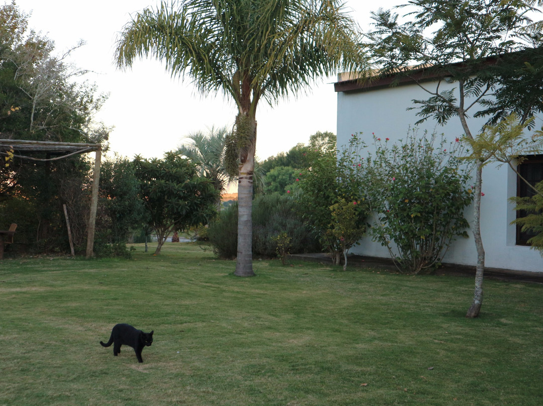 El Balcon del Abra主图