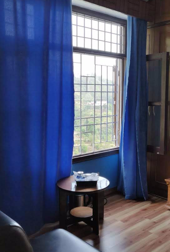 Little Chilli Shimla主图