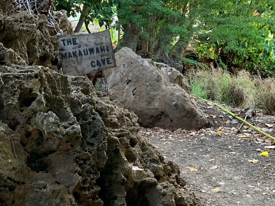 Kauai Mopeds-利胡埃必去景点