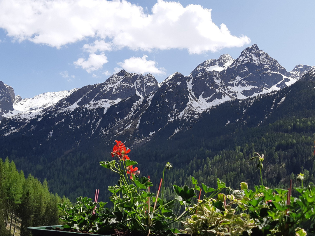 Pension Winnebach主图