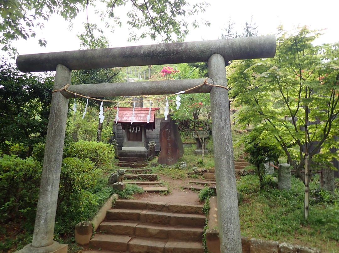 Arahata Fuji-所泽市必去景点