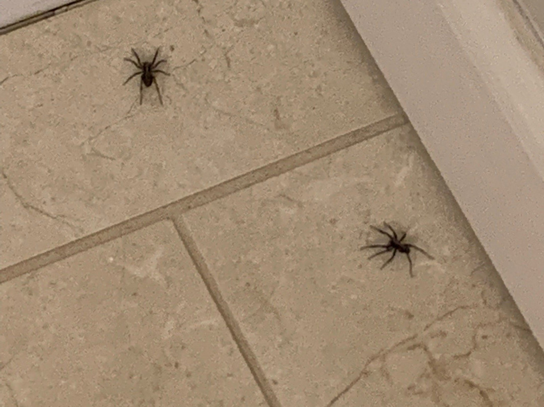 Eagle Ridge Resort-加利纳必去景点