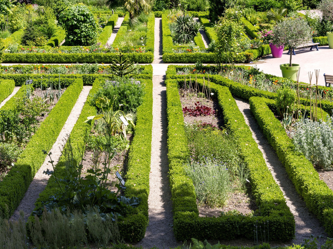 Jardin des Plantes景点图片