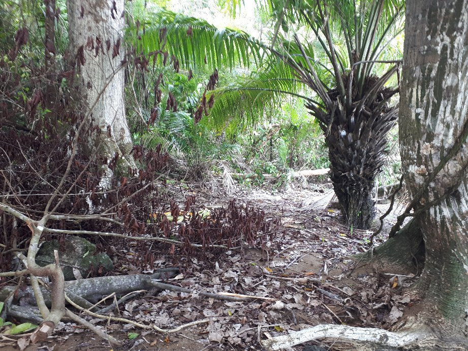 Drake Trail-德雷克湾必去景点