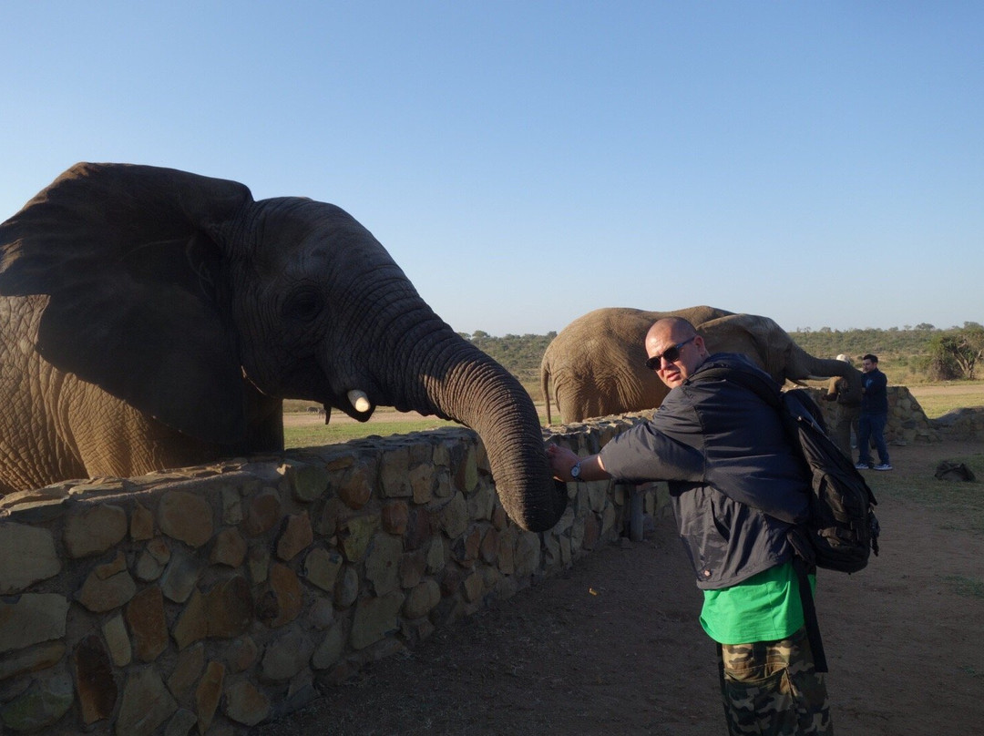 Elephant Moments景点图片