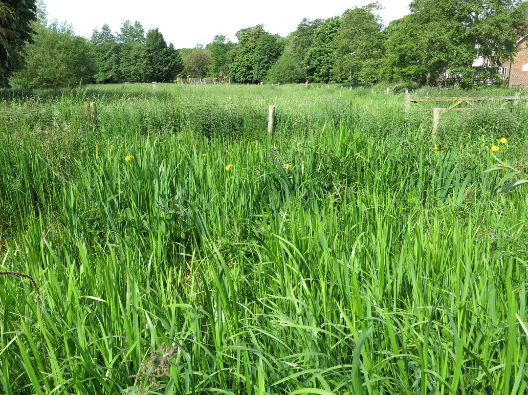 Wiltshire Walks-马尔堡必去景点