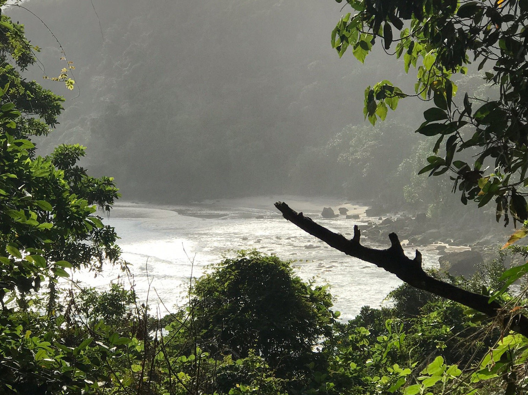 Pantai Kedung Tumpang-Tulungagung必去景点