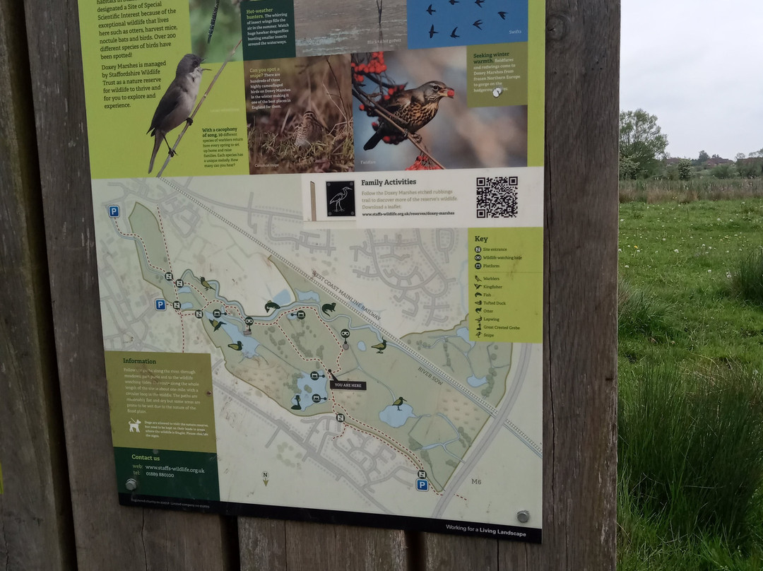 Doxey Marshes Nature Reserve景点图片