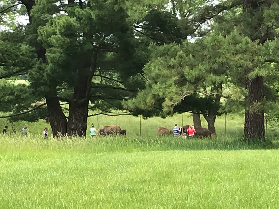 Fleming Park-Independence必去景点