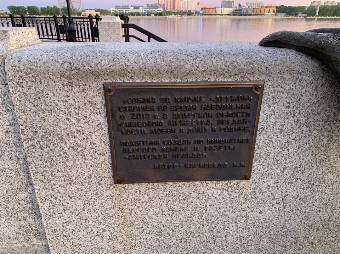 Monument Dog Named Druzhok景点图片
