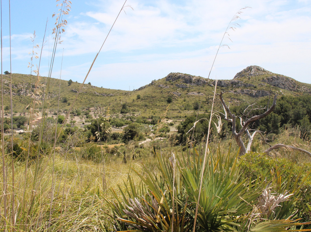 Parc Natural de la Península de Llevant-Arta必去景点