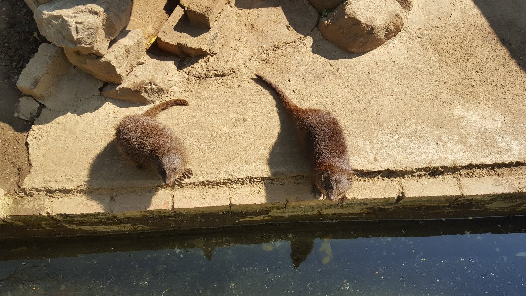 Hartbeespoort Aquarium-哈特比斯普特必去景点