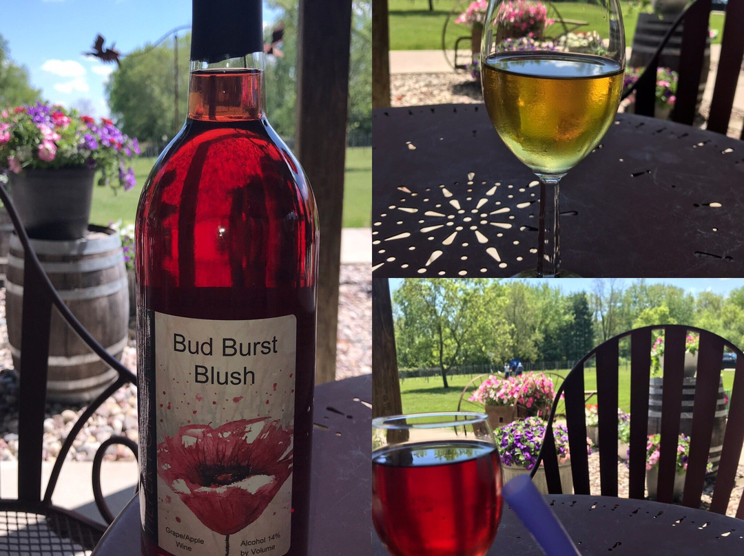 Pieper Porch Winery & Vineyard-沃基肖必去景点