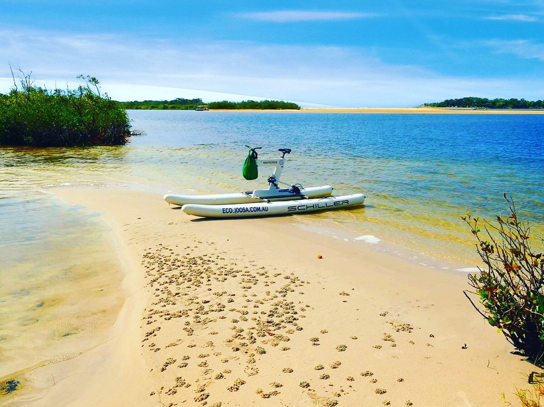 Eco Noosa River Adventures-努萨维尔必去景点