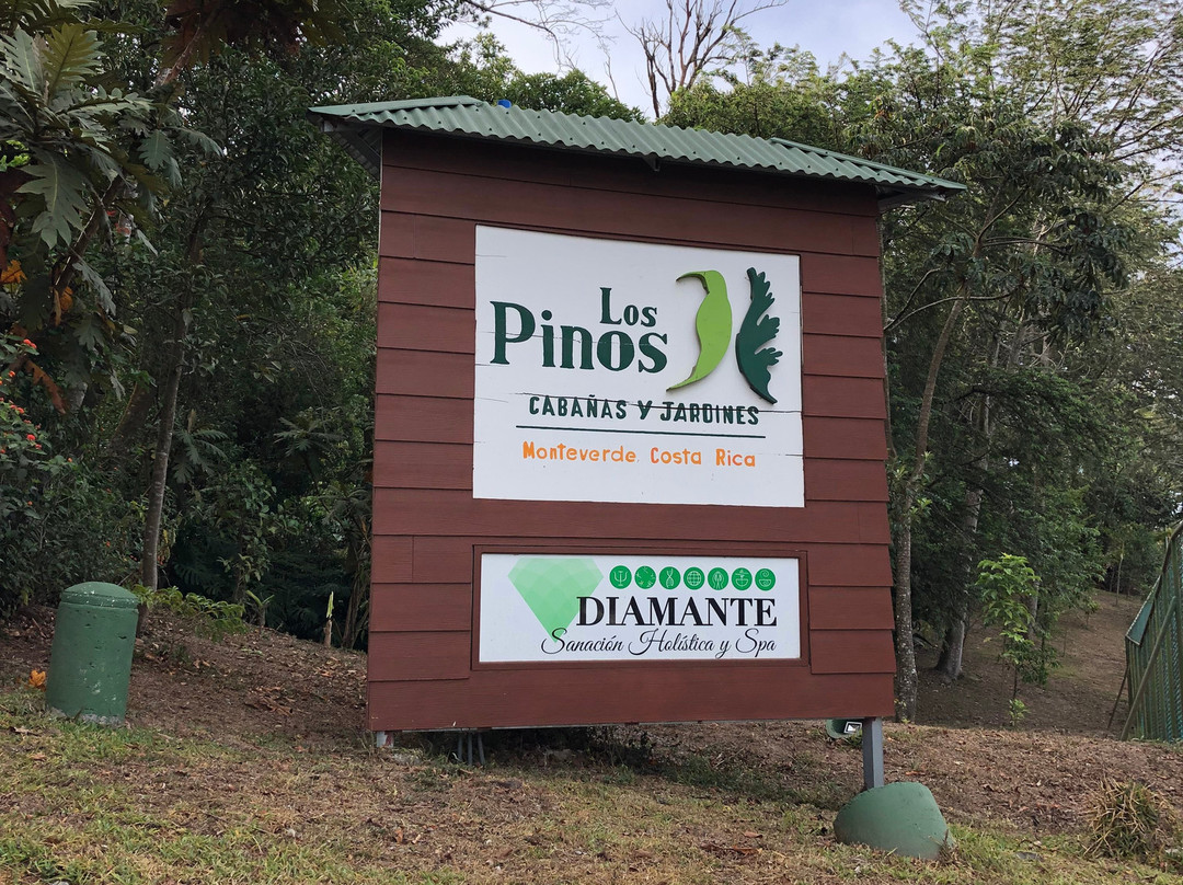 Los Pinos - Cabañas & Reserva主图