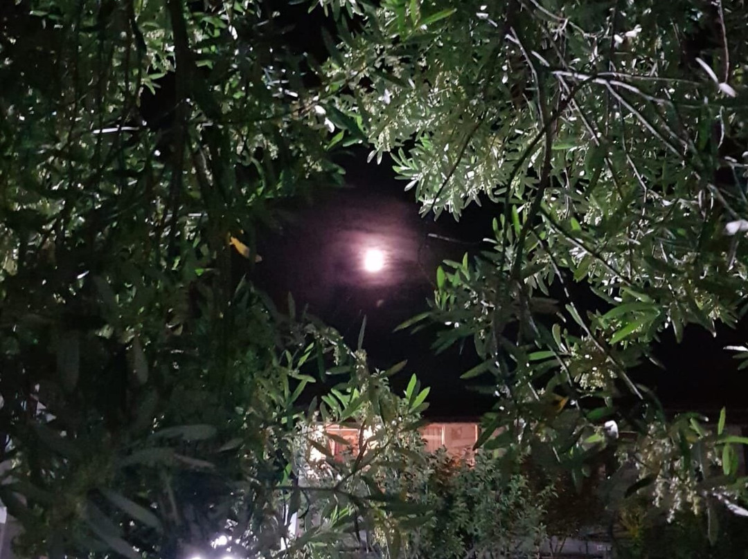 Assos Kadırga Otel主图