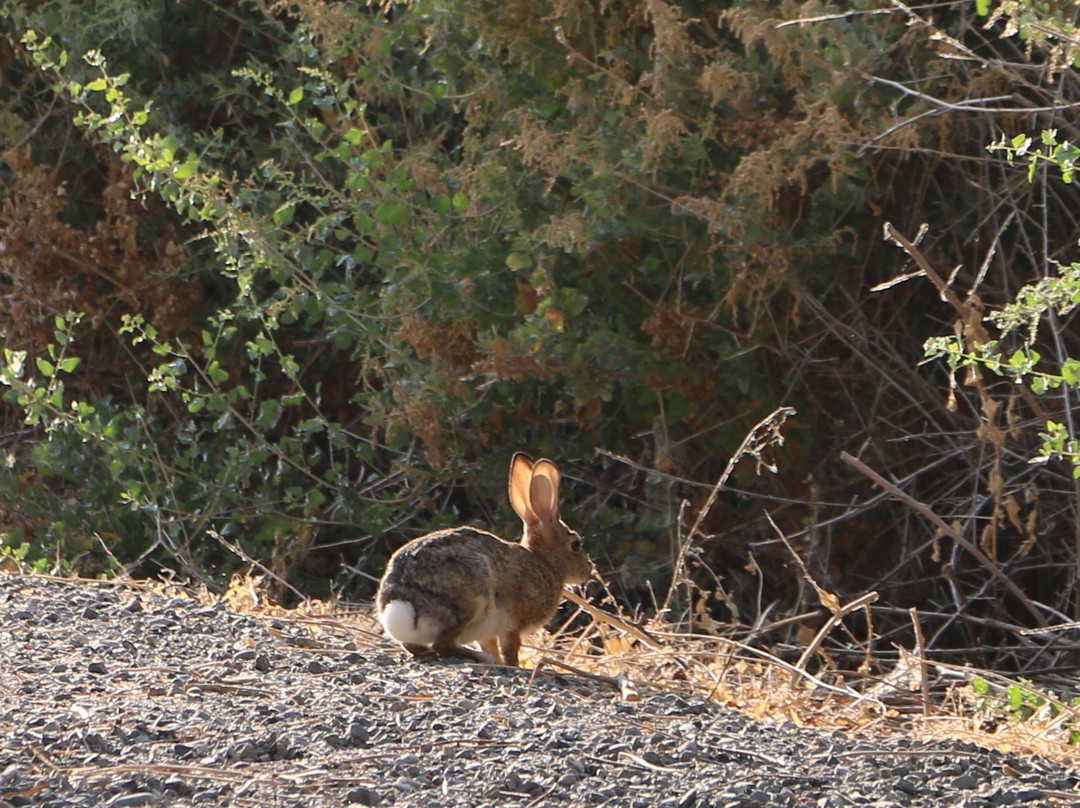 圣路易斯国家野生动物保护区-洛斯巴诺斯必去景点