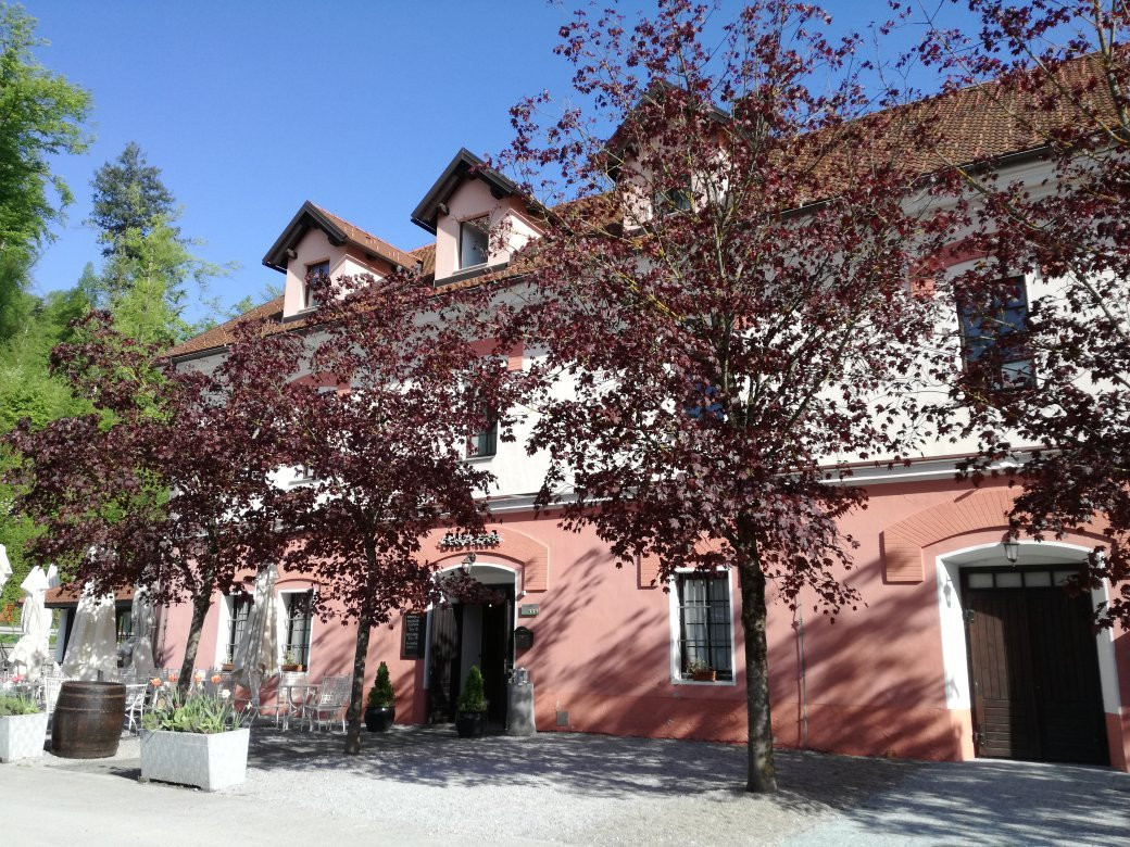 Guesthouse Bistra主图
