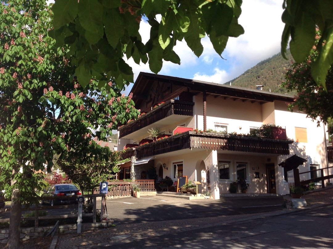 Hotel Vetzanerhof主图