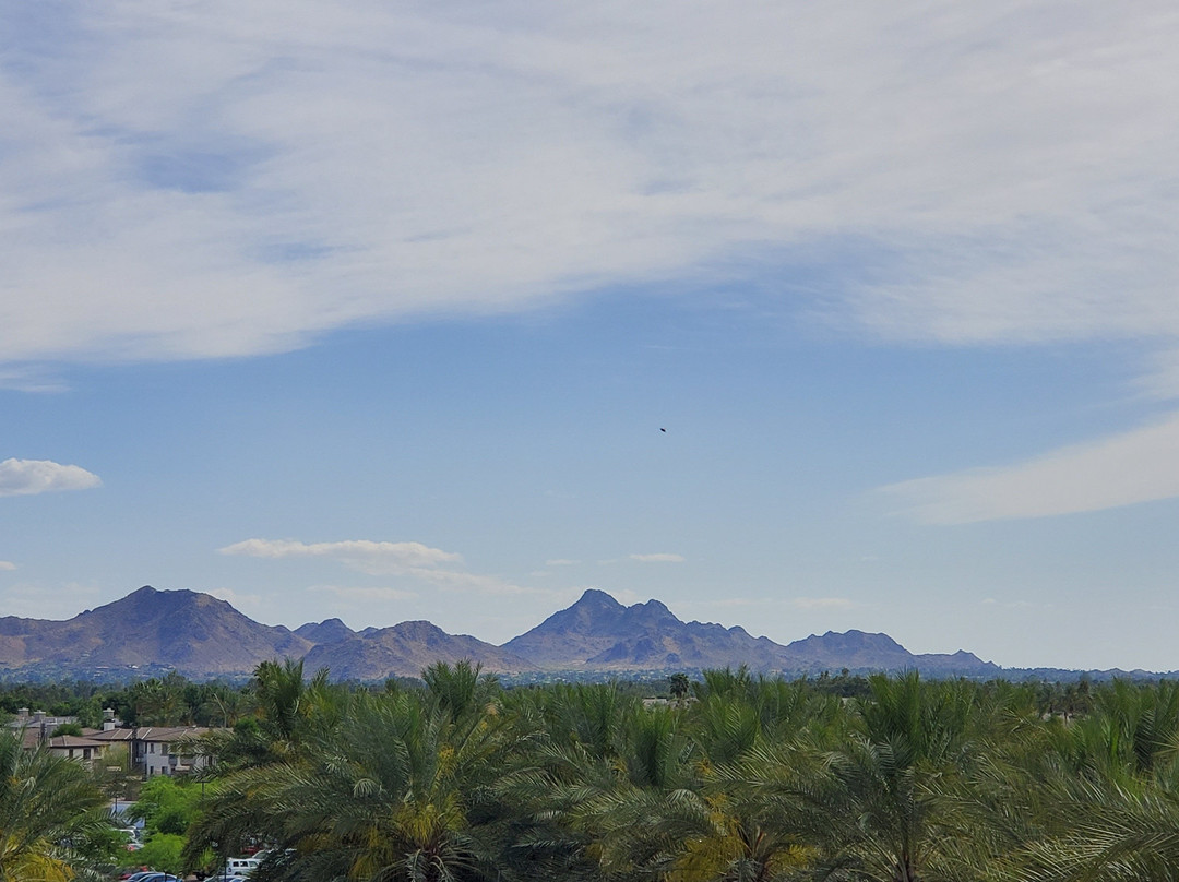 The Westin Kierland Resort & Spa主图