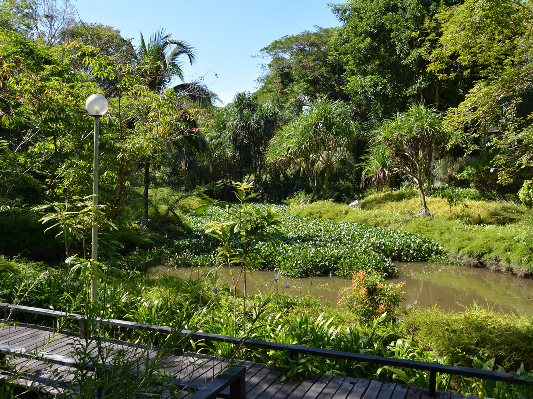 西必洛克自然度假村主图